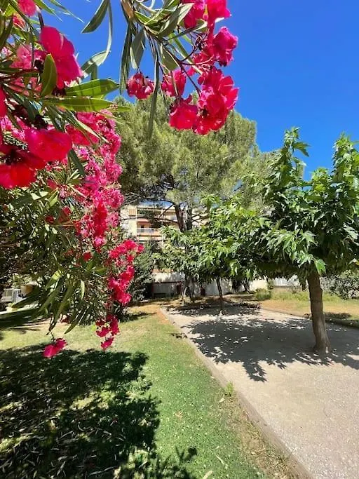 Grand Studio Dans Residence Avec Piscine Hyères شقة